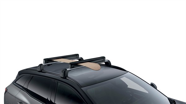 σχάρα μεταφοράς σκι και snowboard - αξεσουάρ- Renault Austral full hybrid E-Tech